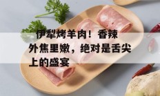   伊犁烤羊肉！香辣外焦里嫩，绝对是舌尖上的盛宴